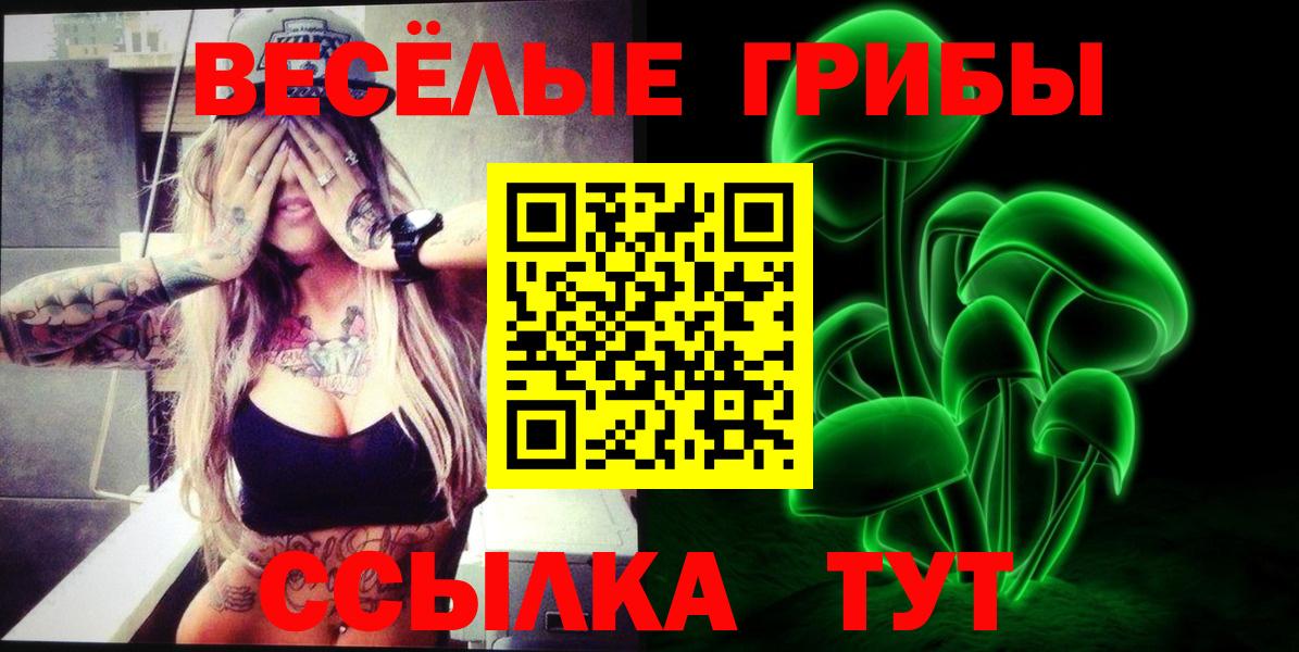 Кинель  Псилоцибиновые грибы Magic Shrooms  Вход с VPN  Псилоцибиновые грибы ЛСД 