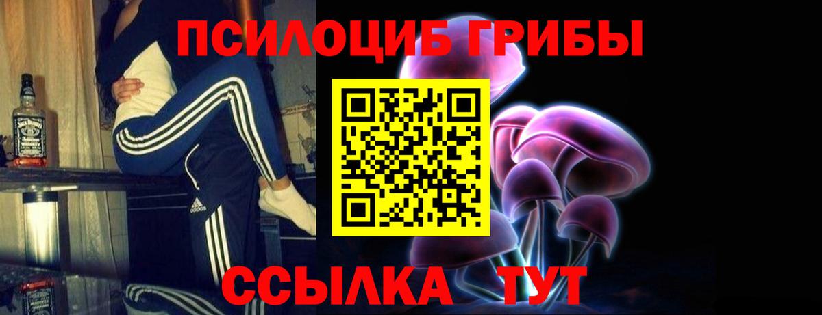 Псилоцибиновые грибы MAGIC MUSHROOMS Кинель